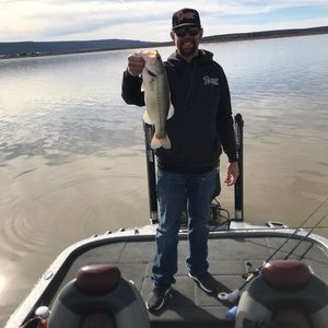 Meet your Posher, Cody